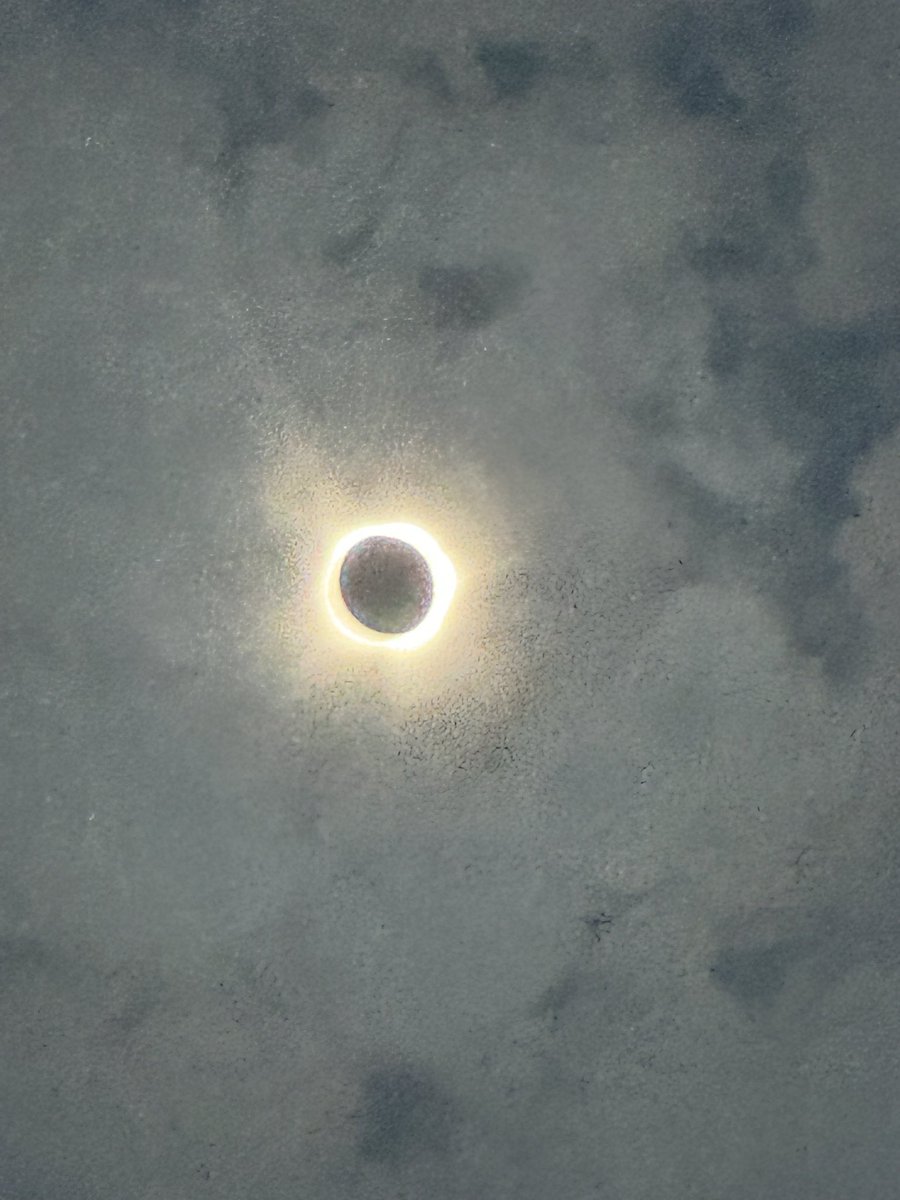 Bonita_Bee's tweet image. I was able to get all the phases of the eclipse!! I was so excited!! #nerdmode #EclipseSolar2024 #sciencemajor