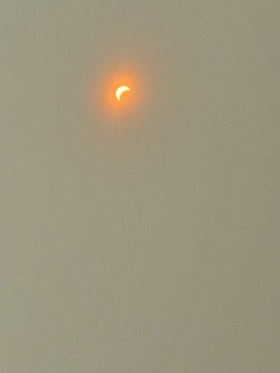 Bonita_Bee's tweet image. I was able to get all the phases of the eclipse!! I was so excited!! #nerdmode #EclipseSolar2024 #sciencemajor