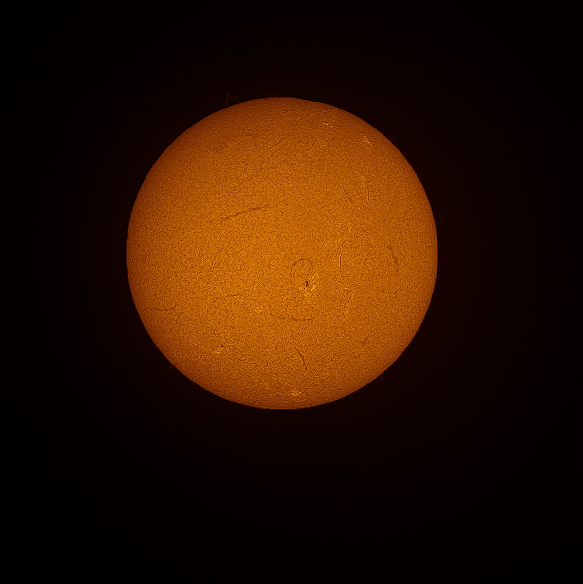 Image of the solar eclipse totality from Fredericksburg, Texas, taken by RII Space4 Center team led by LPL Prof. 📷 Vishnu Reddy and DCC Dr. Lucille Le Corre.