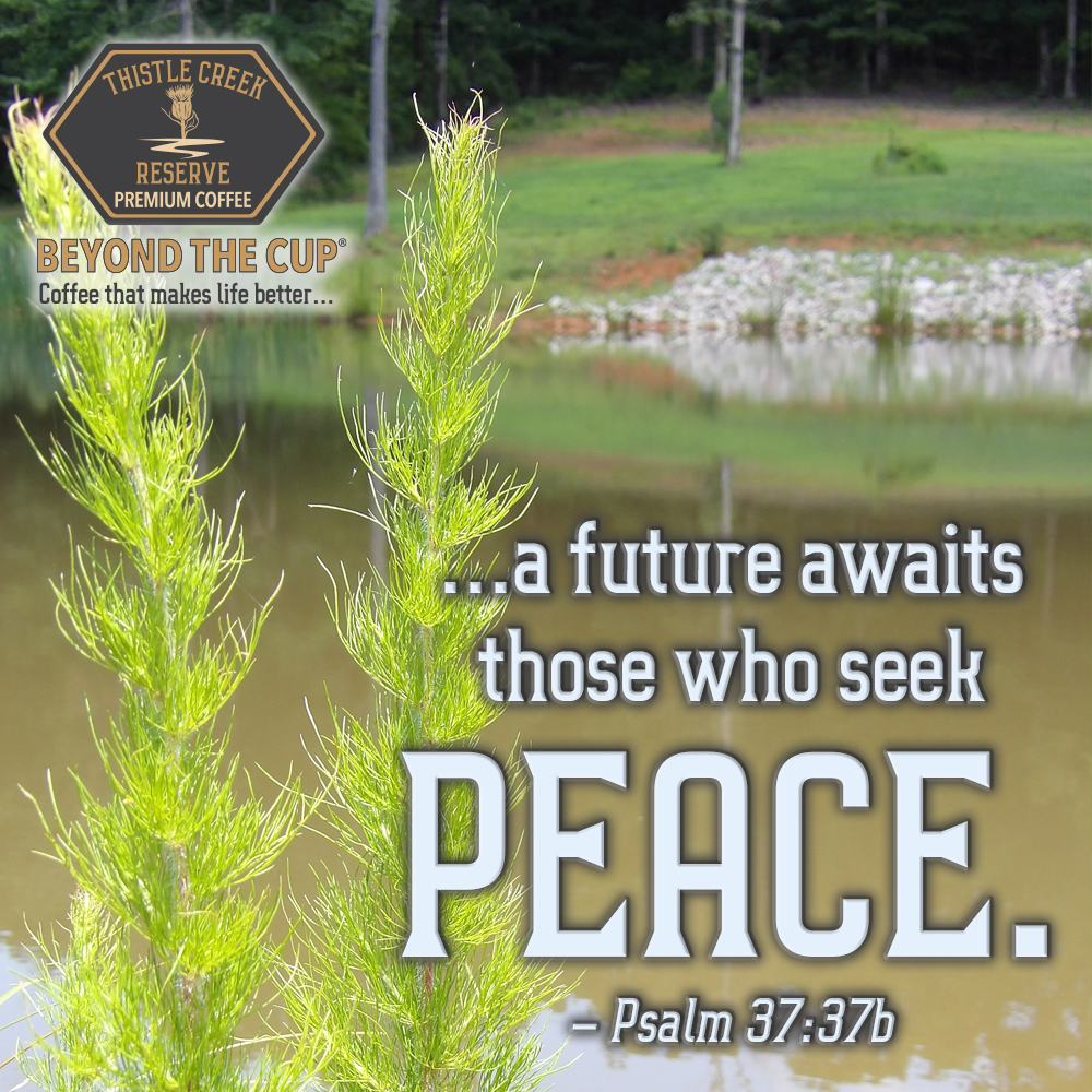 CoffeeTCR's tweet photo. "Consider the blameless, observe the upright; a future awaits those who seek peace." – Psalm 37:37

#BeyondTheCup #MorningsWithThistleCreek #ThistleCreekReserve #ThistleCreekReserveCoffee #TCR #TCRcoffee #coffee https://t.co/HCvlKuQgKS