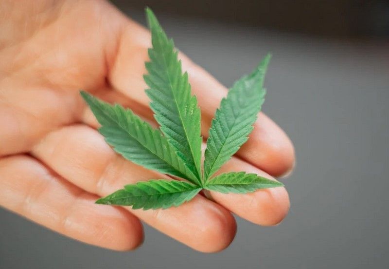 Don’t punish Marijuana workers in bankruptcy proceedings

buff.ly/3VLD8Ib #420intel #intel #cannabis #marijuana #weed #hemp #CBD #cannabusiness #cannabisindustry #cannabiscommunity #entrepreneur #medical #startup #smallbusiness #high #marketing #socialmedia #digitalmarket