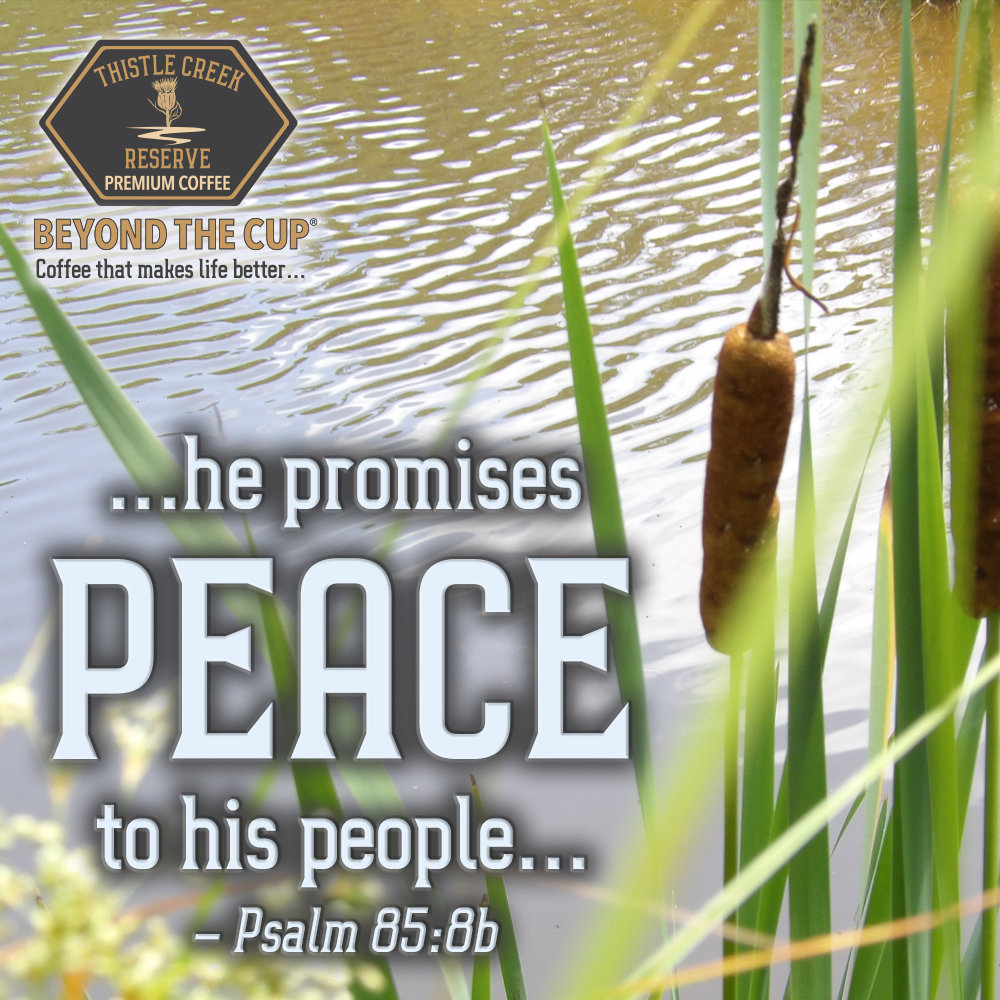 CoffeeTCR's tweet photo. "I will listen to what God the Lord says; he promises peace to his people, his faithful servants — but let them not turn to folly." – Psalm 85:8

#BeyondTheCup #MorningsWithThistleCreek #ThistleCreekReserve #ThistleCreekReserveCoffee #TCR #TCRcoffee #coffee https://t.co/dygjhhSctQ
