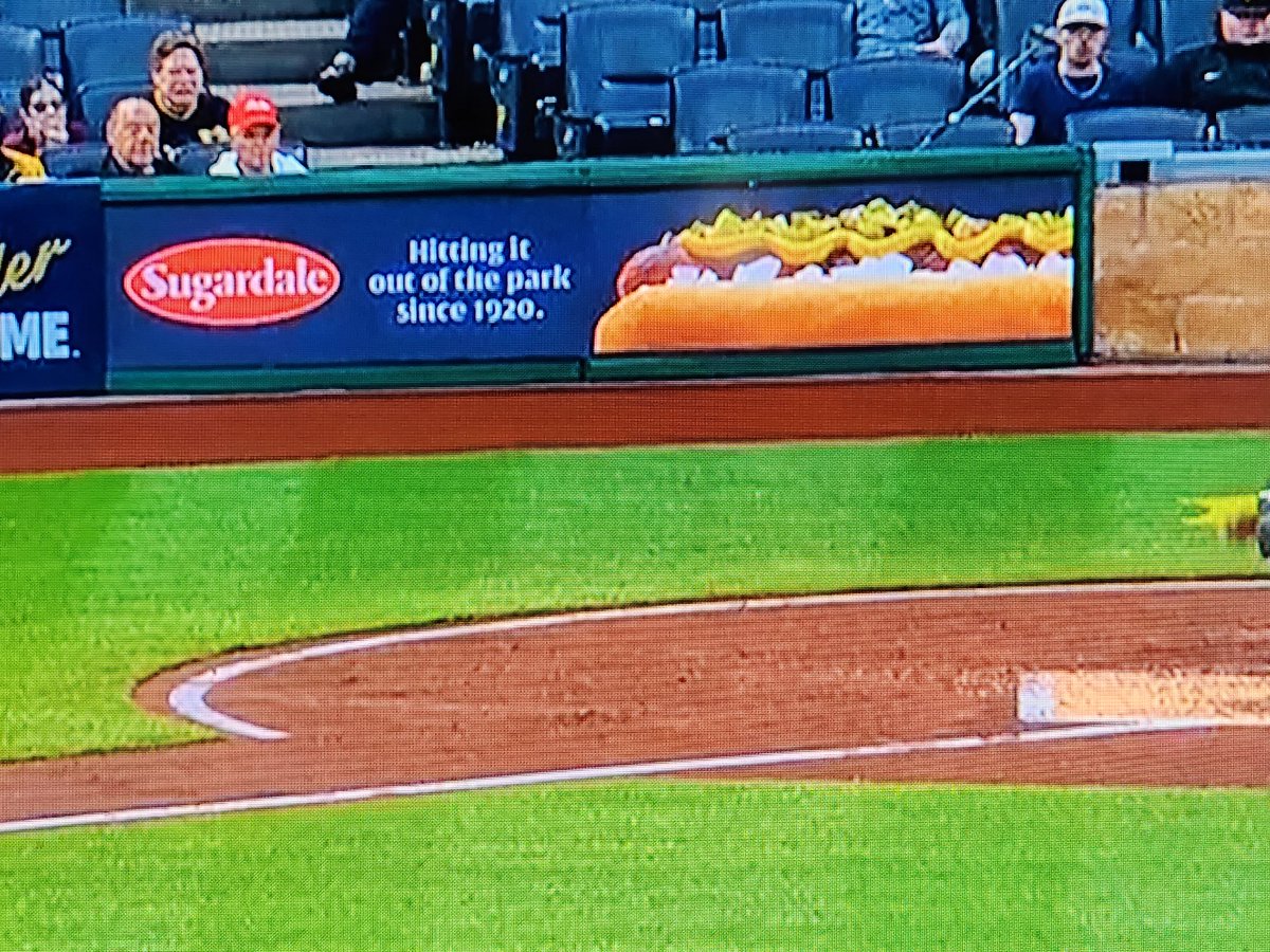 That Sugardale hot dog with mustard and relish behind home plate is looking absolutely fantastic right now. I can't take my eyes off of it!!!! Can I please have like 6 of those? 👀 🌭 #RepDetroit