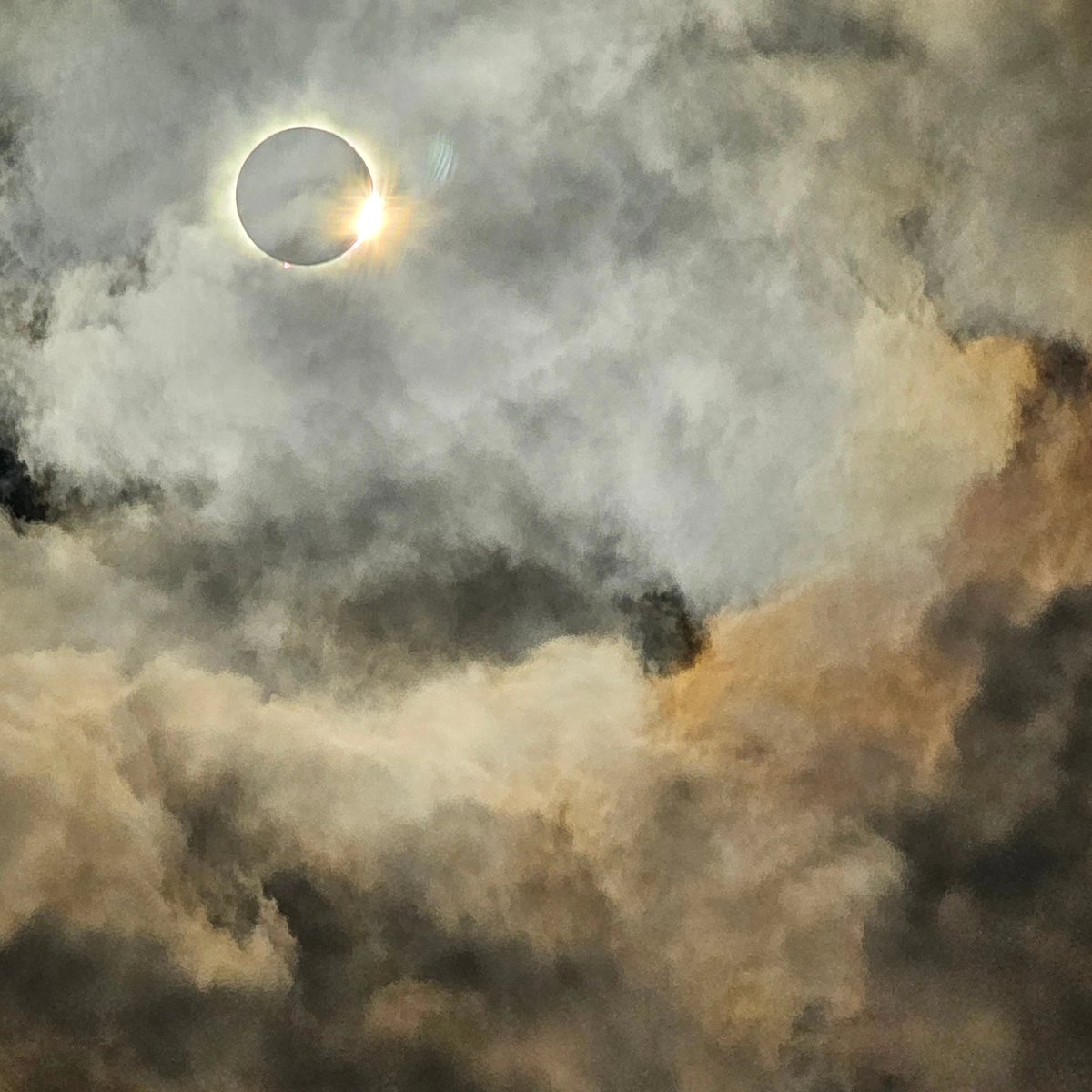 This was an incredible sight to see today. So happy I got to experience this with my children. <a href="/CHCHNews/">CHCH News</a> <a href="/TheSpec/">Hamilton Spectator</a> <a href="/cityofhamilton/">City of Hamilton</a> <a href="/Hillcrest_HWDSB/">Hillcrest School</a> your field was the best spot!