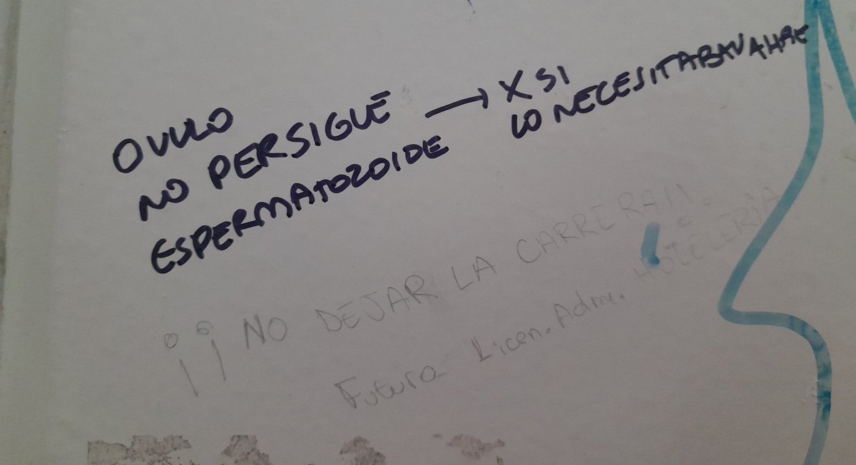 laFlorcis_'s tweet photo. @bbbolsa Baños de la unqui? Arte puro. https://t.co/QGyAVc8Zi0