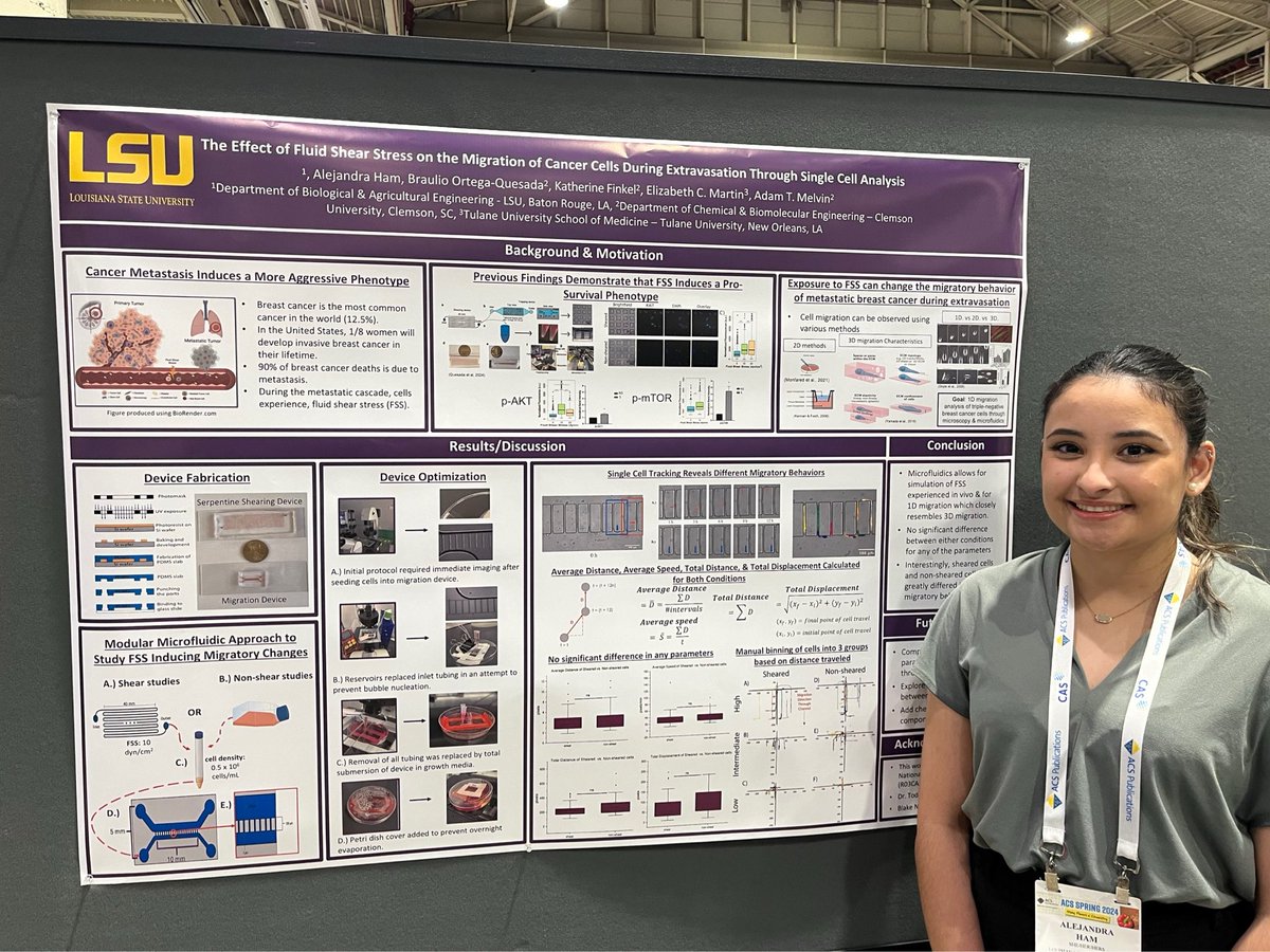 Adam Melvin (@melvinmicrolab) on Twitter photo Super proud to share the Alejandra successfully defended her <a href="/LSUEngineering/">LSU Engineering</a> masters thesis in BAE. She’s been able to do such great work on her own during the lab’s transition. I see great things ahead for her! Super proud to share the Alejandra successfully defended her <a href="/LSUEngineering/">LSU Engineering</a> masters thesis in BAE. She’s been able to do such great work on her own during the lab’s transition. I see great things ahead for her!