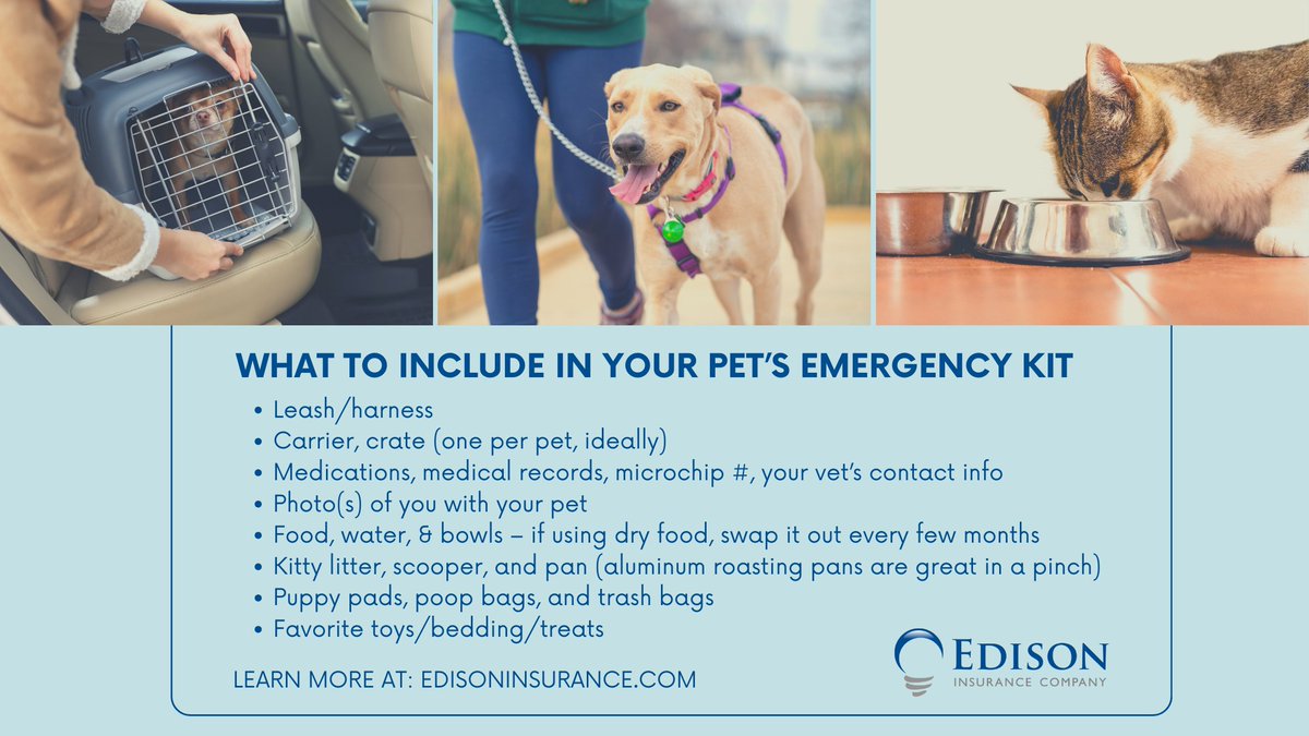 InsuranceSoFlo's tweet image. 