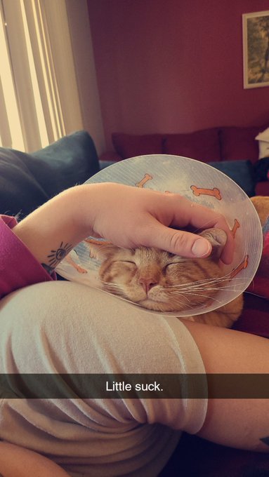 If you cuddle me you gotta cuddle him too https://t.co/8X2RWBdRHt<a href="/tag/porn"class="tags"><span>#porn</span></a><a href="/tag/ass"class="tags"><span>#ass</span></a><a href="/tag/bigdick"class="tags"><span>#bigdick</span></a><a href="/tag/cock"class="tags"><span>#cock</span></a><a href="/tag/bi"class="tags"><span>#bi</span></a><a href="/tag/hung"class="tags"><span>#hung</span></a><a href="/tag/dick"class="tags"><span>#dick</span></a><a href="/tag/cum"class="tags"><span>#cum</span></a>