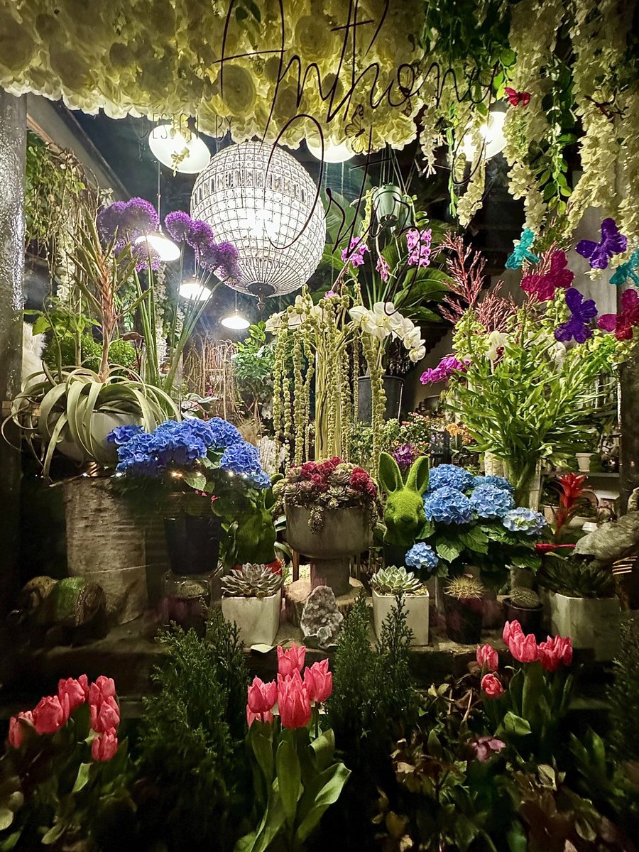 🪴🪻🌺 Pretty shop window Park Avenue #nyc #streetphotography