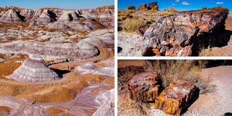 Ready for an adventure in a land of jeweled wood and painted hills? Visit Petrified Forest National Park and witness the magic of ancient trees turned to stone. Travel guide to navigate trails, viewpoints, and formations bit.ly/3xi7PoN via @sheriannekay #FindYourPark