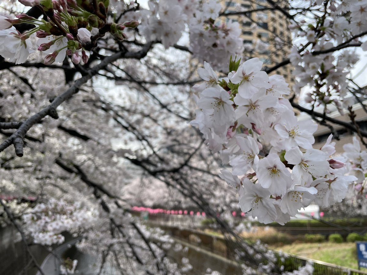 よしかわなおみ/ 足のお悩み相談サロン tweet media