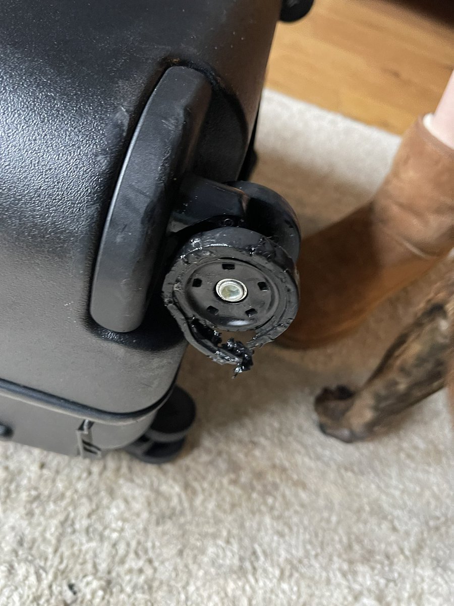 Alice Grey tweet media