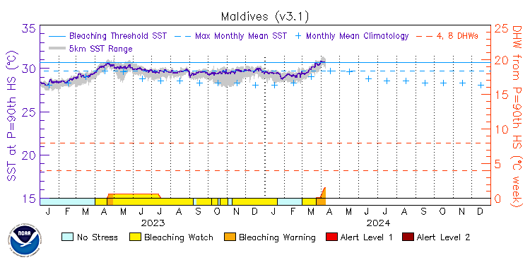 🚨 NOAA Coral Bleaching Alert for Maldives 🚨- 🟠WARNING SST crossed monthly mean, max monthly mean & bleaching threshold. Likely wider coral bleaching ongoing. Time to ⬇️ stress on corals, especially from sedimentation. MPAs are important as refugia & hope spots #Maldives