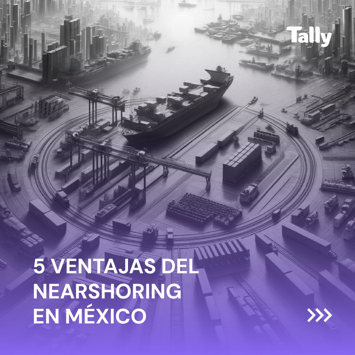 tally.legal tweet media
