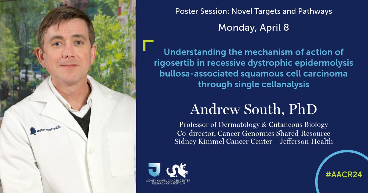 Today at #AACR24: Dr. Andrew South presented data on rigosertib in recessive dystrophic epidermolysis bullosa-associated squamous cell carcinoma. Read more: abstractsonline.com/pp8/#!/20272/p…