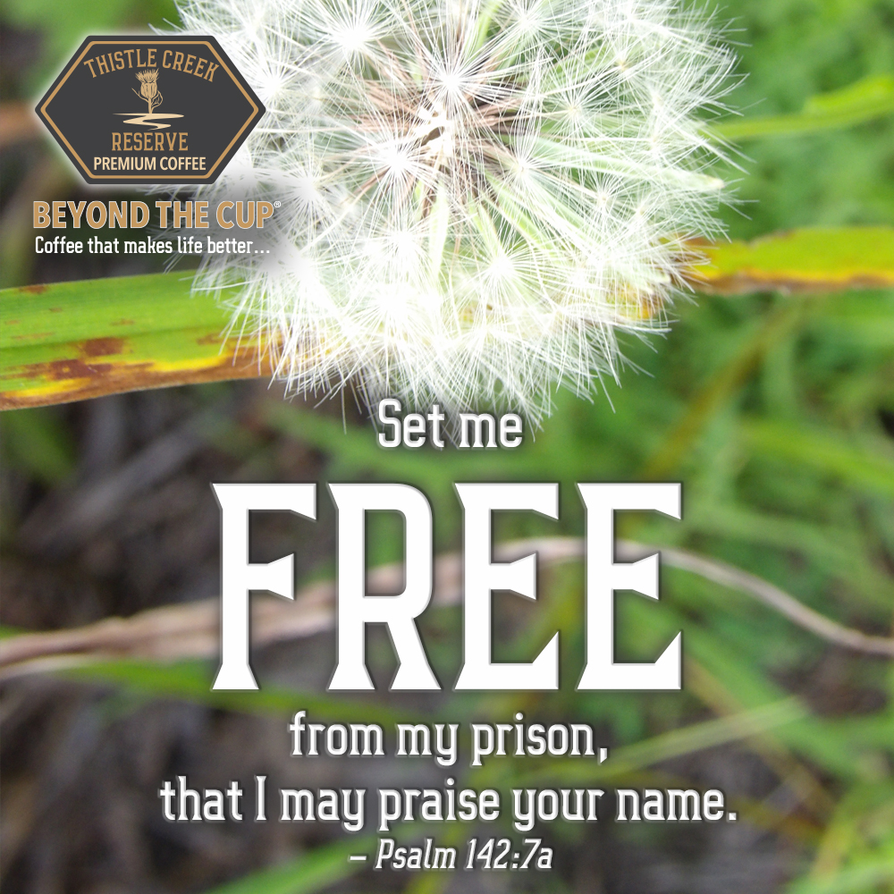 CoffeeTCR's tweet photo. "Set me free from my prison, that I may praise your name. Then the righteous will gather about me because of your goodness to me." – Psalm 142:7

#BeyondTheCup #MorningsWithThistleCreek #ThistleCreekReserve #ThistleCreekReserveCoffee #TCR #TCRcoffee #coffee https://t.co/UwQrvOezMF