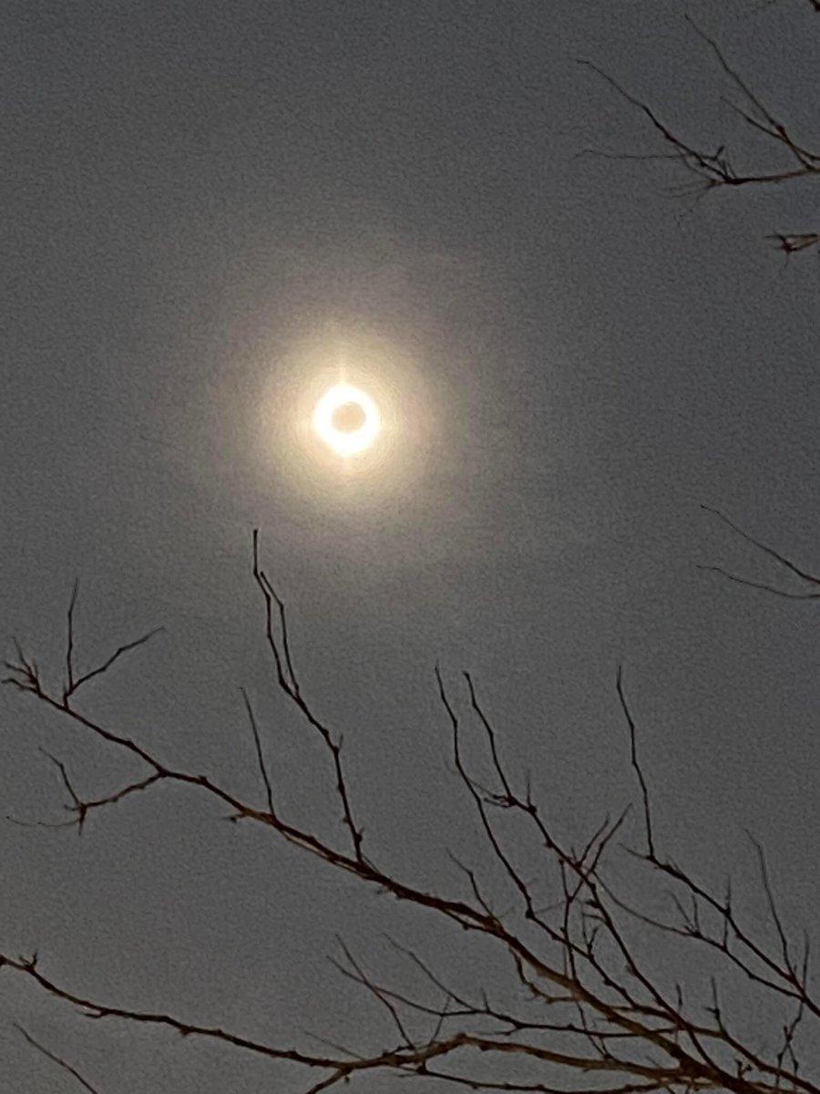 #EclipseSolar2024 Michigan with my Man😇💚♥️
