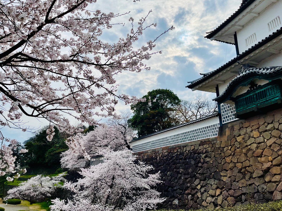 桜満開の金沢城。平日にも関わらずすごい人。兼六園は無料開放期間中でした。