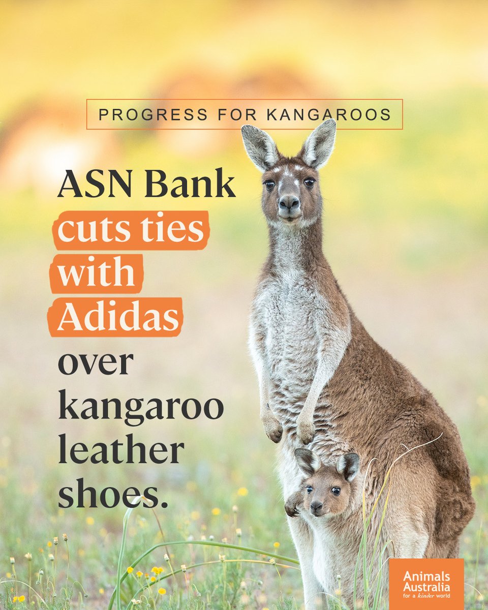 Animals Australia tweet media