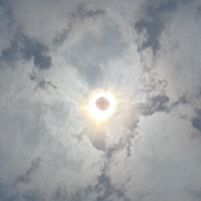 AssistantDS's tweet image. 