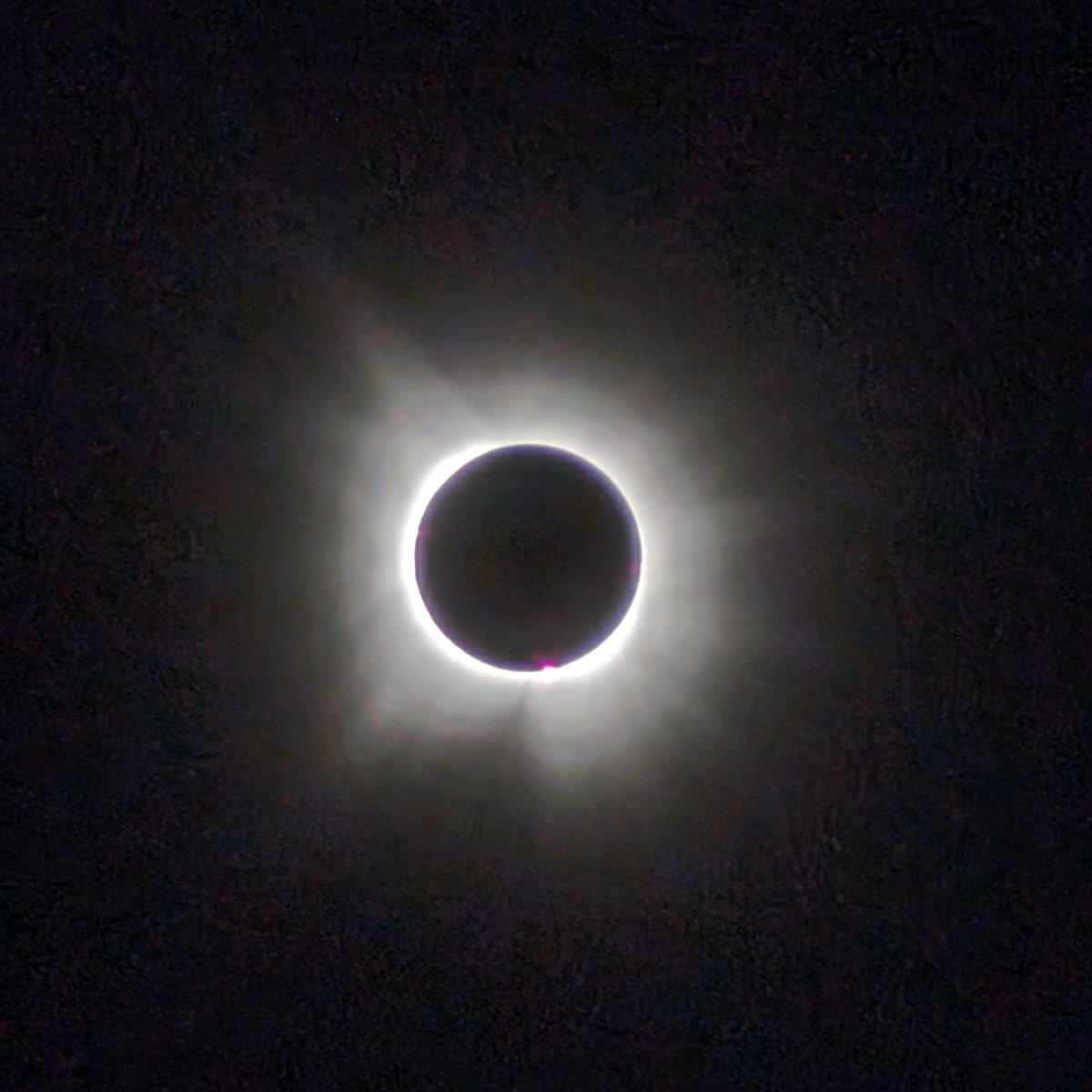 emrainey's tweet photo. Got a break in the clouds and was able to see the eclipse from the backyard. It was surreal and stunning. #georgetowntx #Eclipse2024  #EclipseSolar2024 #EclipseSolar https://t.co/Izls7yYk3T