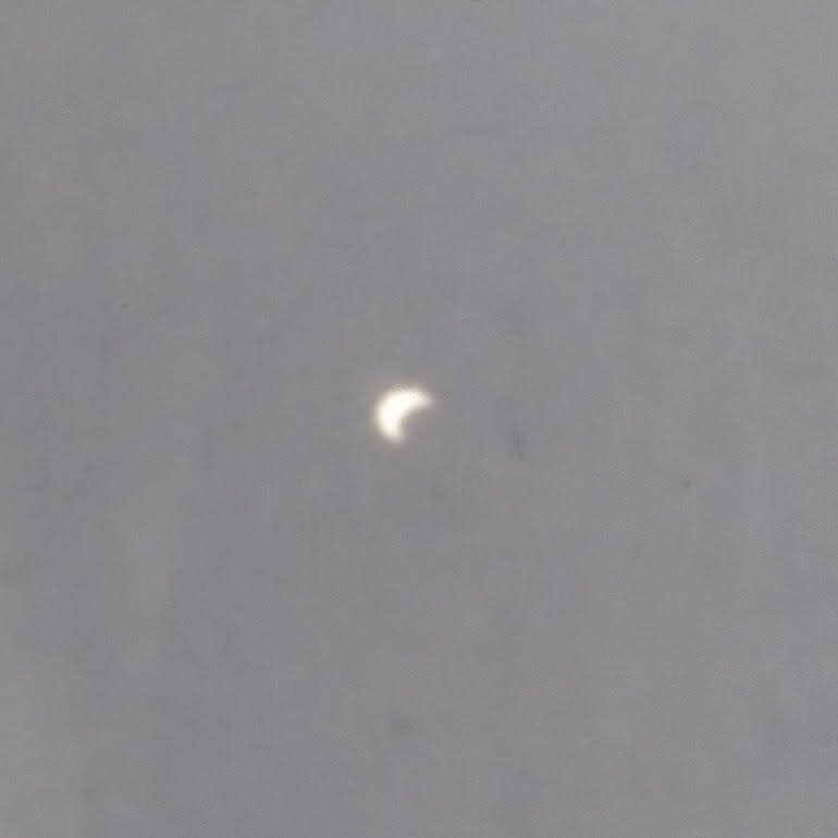 mel schriver tweet media