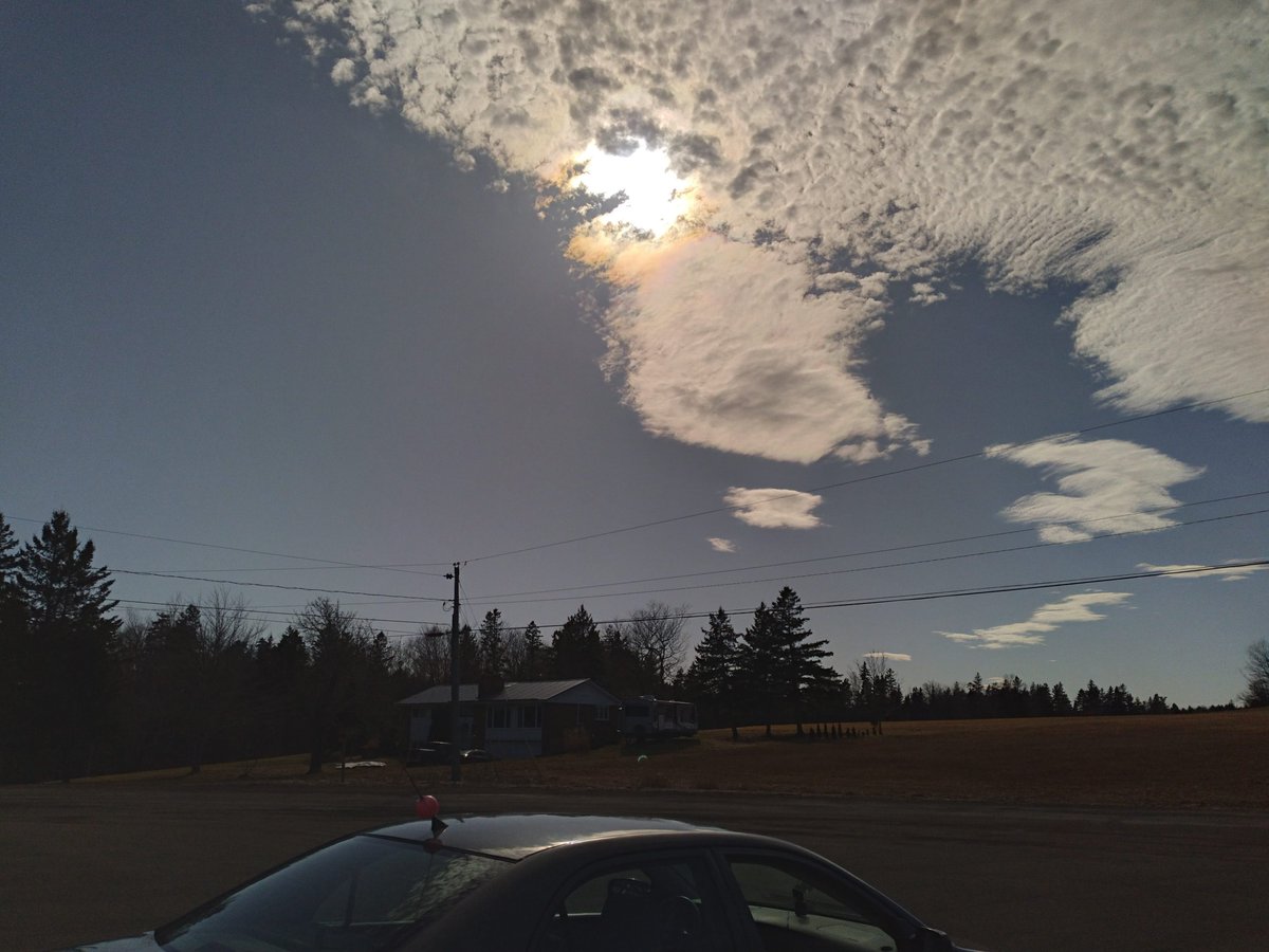 mel schriver tweet media