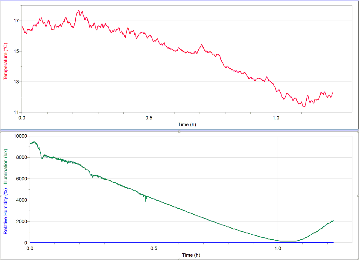 mel schriver tweet media