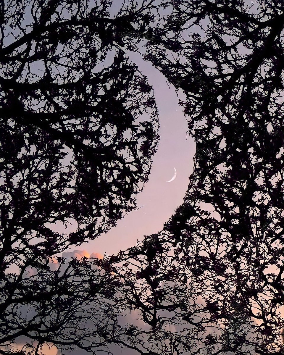 amante de la luna