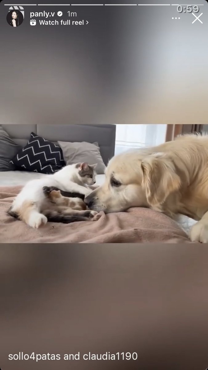 badubbadabe01's tweet image. กำลังจะบอกเลยว่าเช้านี้พี่มิ้ลค์ตื่นยังน้า มอนิ่งนะคะคนเก่ง วันนี้ไปหาไม่ได้แต่ฝากส่งใจก้อนโตๆไปให้แล้วน้า เสียดายจังติดงาน 🥺💪🏻✨
#MilkPansa #miniv