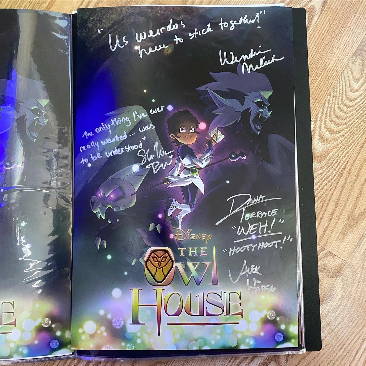 Happy 1 Year Anniversary to the Owl House finale! Such a beautiful show. I still really miss it. #toh #TheOwlHouse #OwlHouse