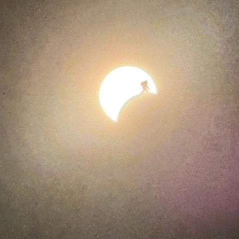 Something odd sighted in the eclipse from Uwharrie National Forest 
North Carolina
#BigFoot #Eclipse2024
