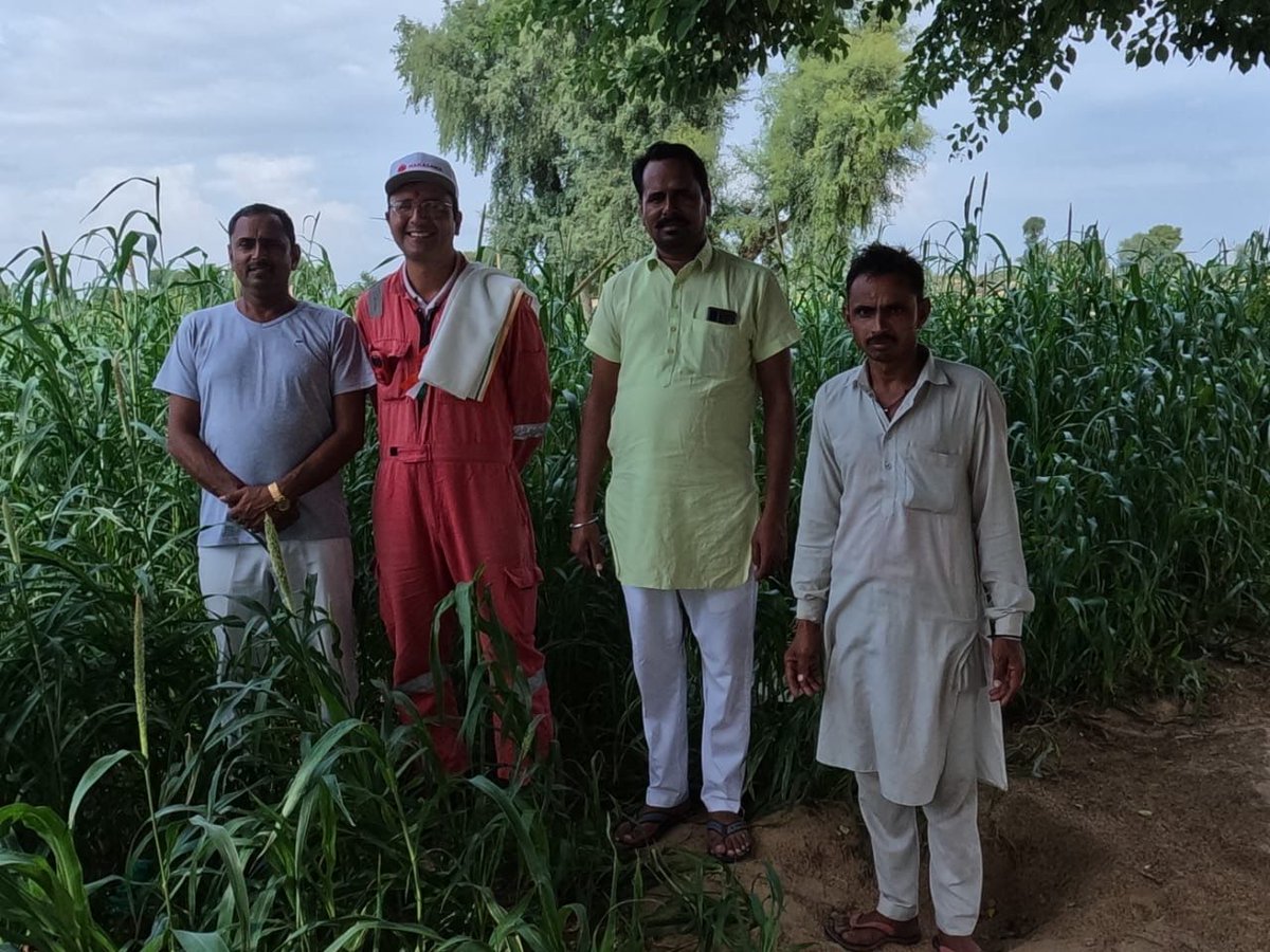 As professionals, we often find ourselves navigating diverse cultures, especially when we work abroad. Adapting to a new country's customs, traditions, and work culture can be both challenging and rewarding. For our team, it is always amazing!