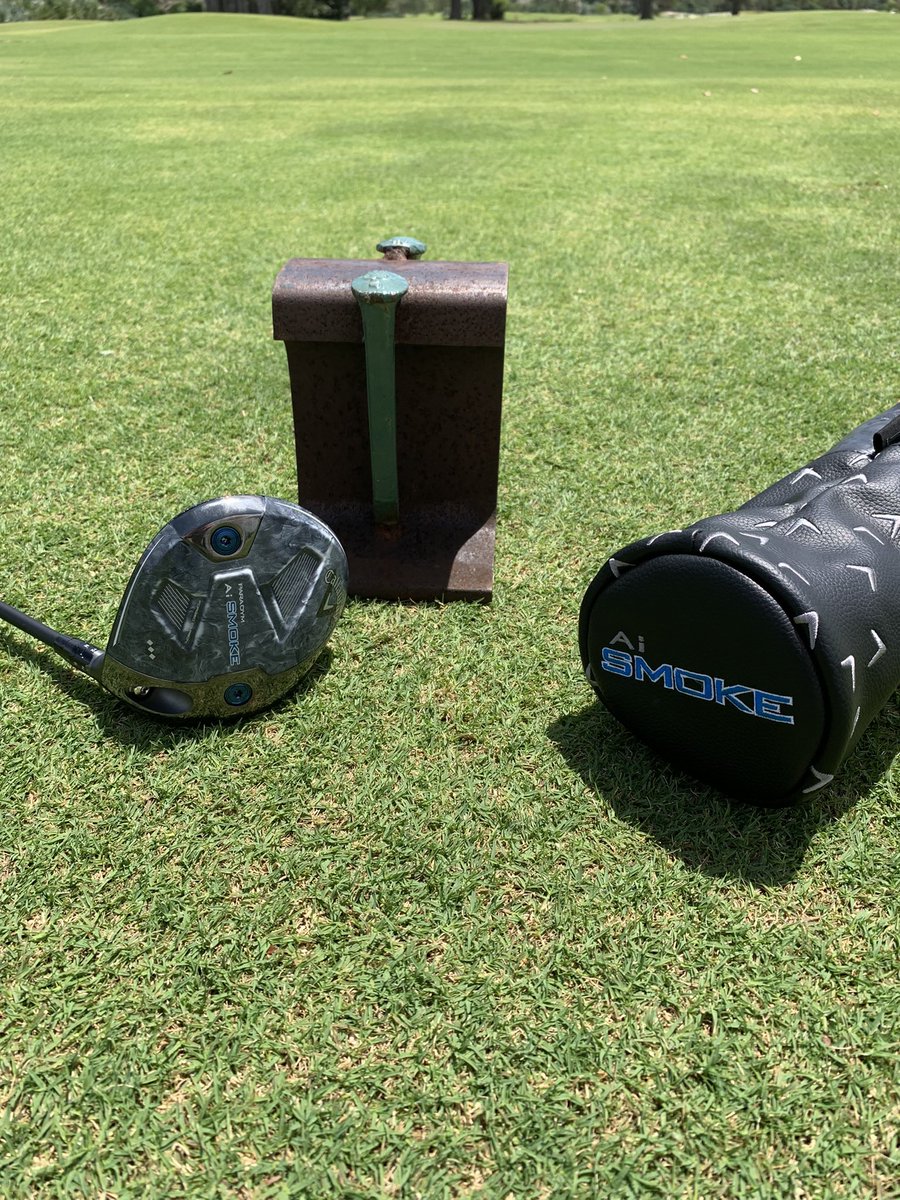 Anne Rogerson Golf tweet media