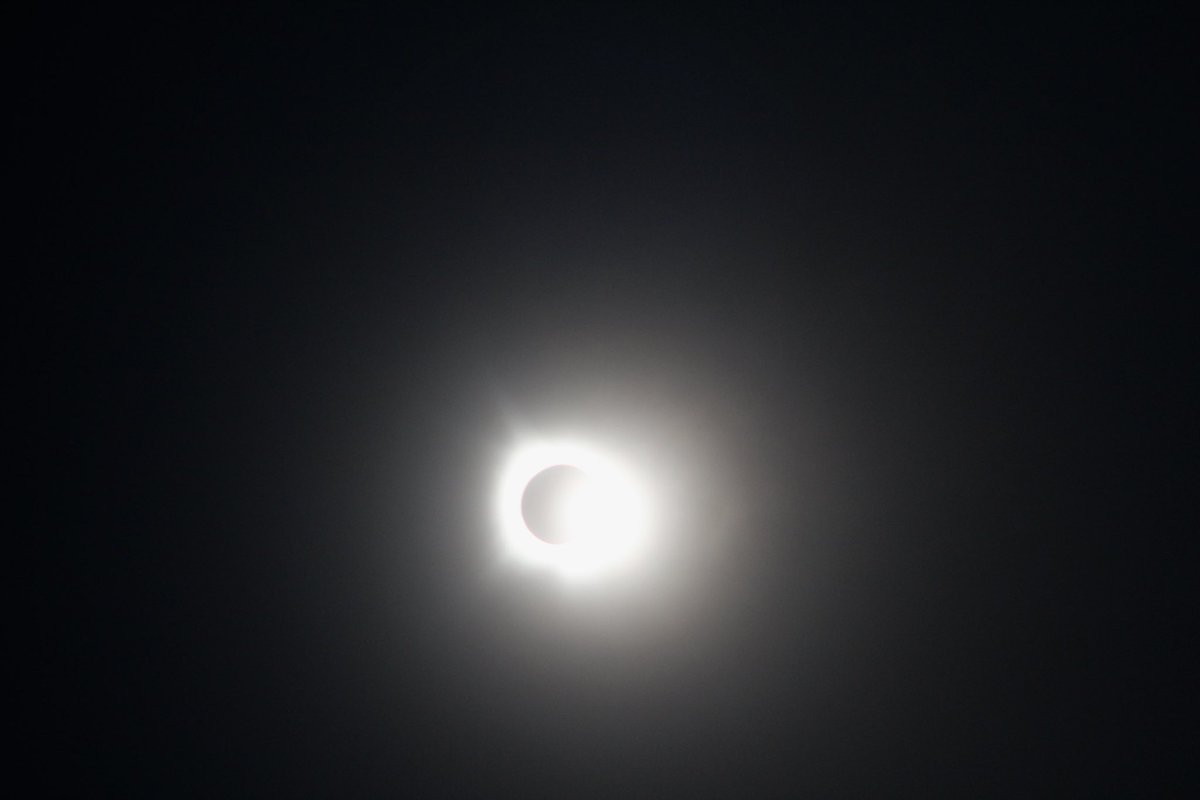 wx_adam's tweet image. 💍💍💍