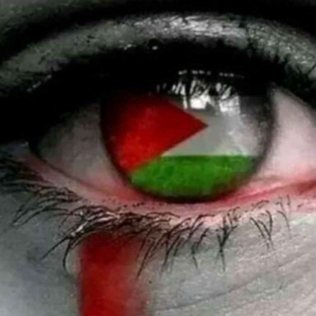 El planeta sangra por una herida incurable 👇 El Holocausto de los palestinos en Gaza. ‼️Basta ya de genocidio‼️ ✨#FreePalestina✨ #DefendiendoCuba🇨🇺💪❤️