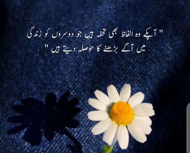 Heer tweet media