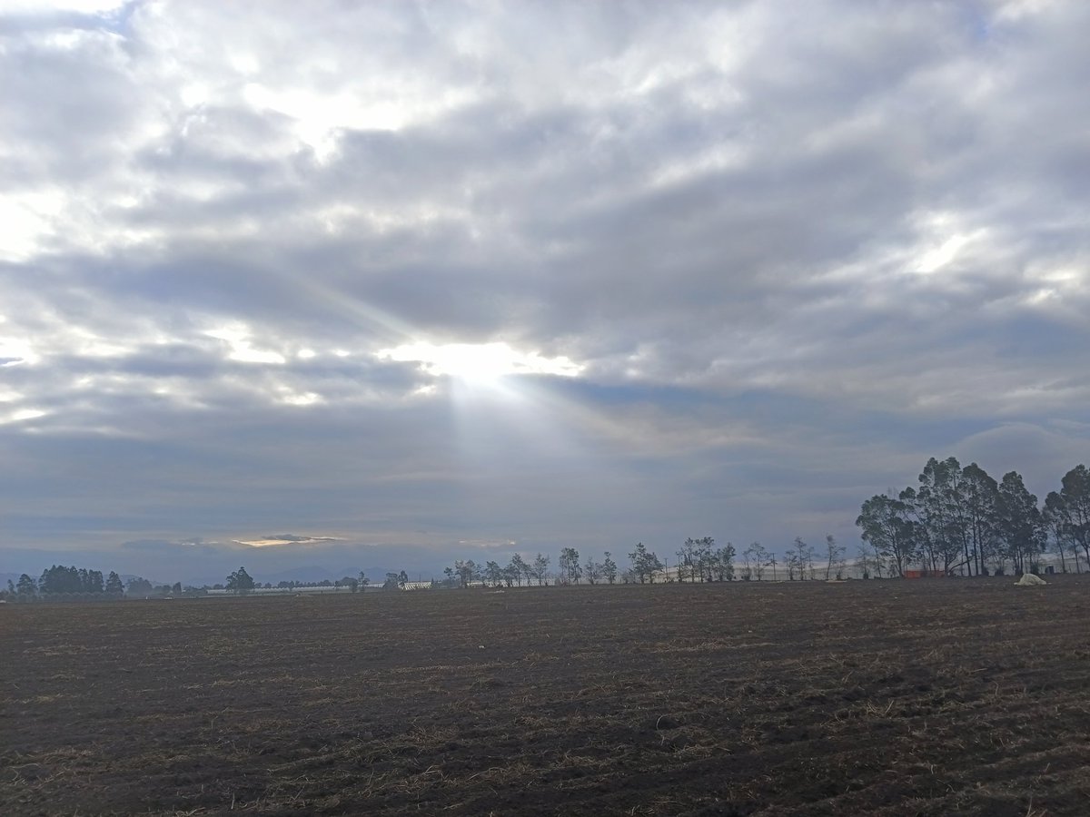 JRodrigud's tweet image. 