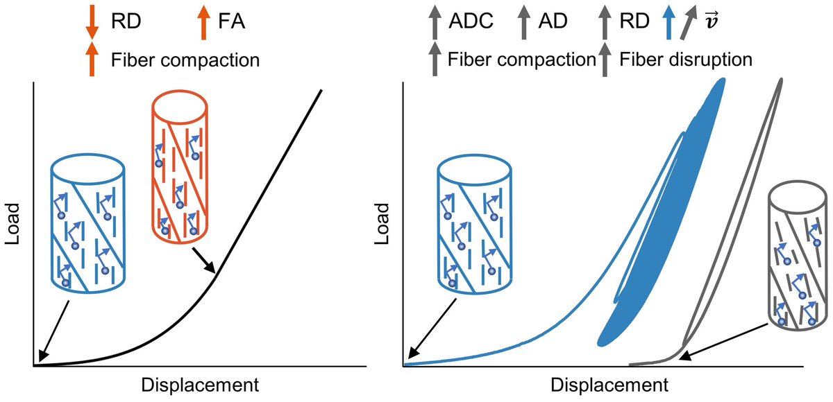 Take a look at our newest paper in ABME!
