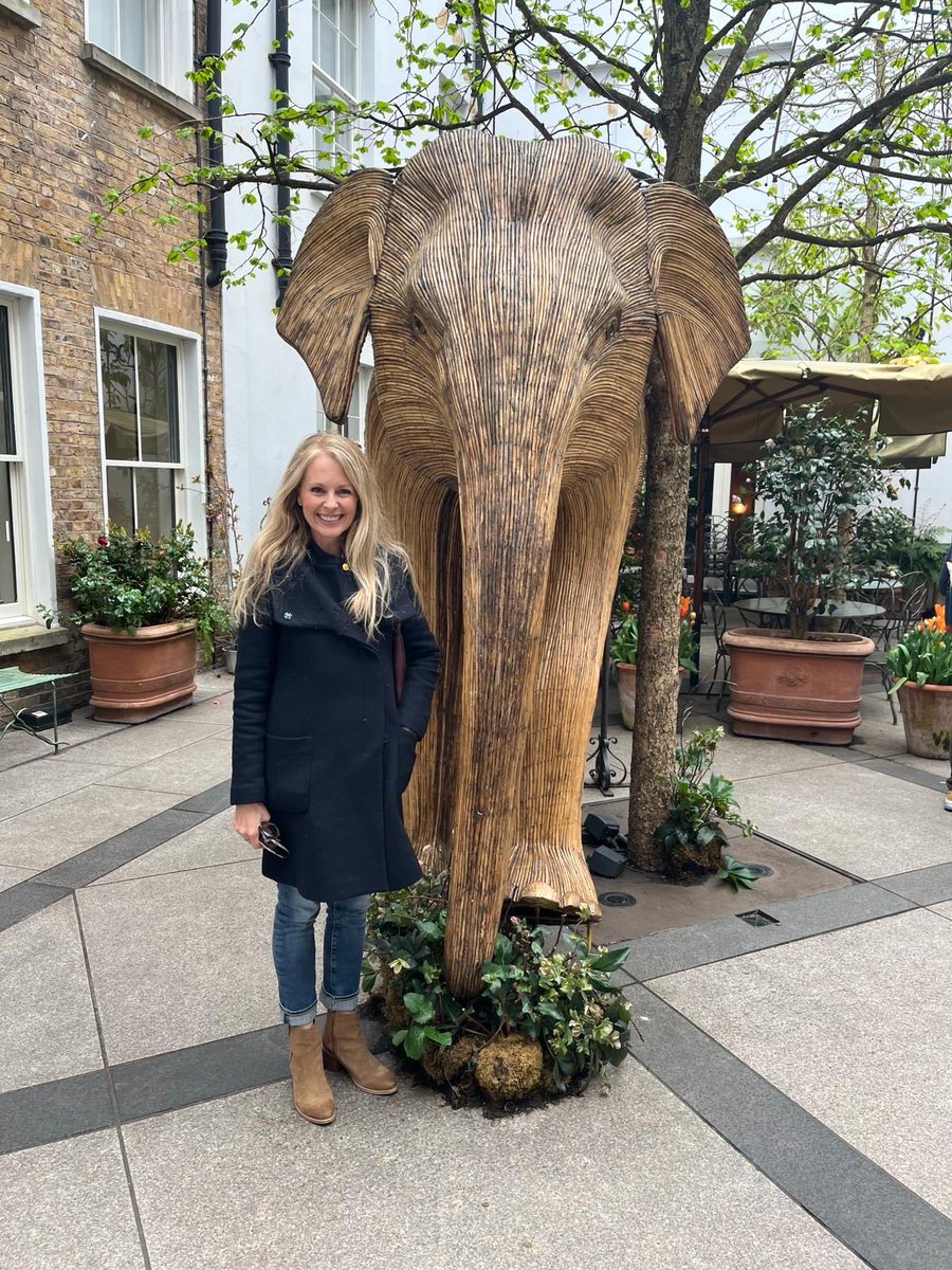 Well this was an unexpected treat! I hadn’t seen any of the ⁦@CoExistence_UK⁩ ⁦@elephantfamily⁩ elephants in person but during my recent trip home I turned a corner and there she was⁩ in all her magnificent glory. Thank you ⁦@PetershamN⁩.