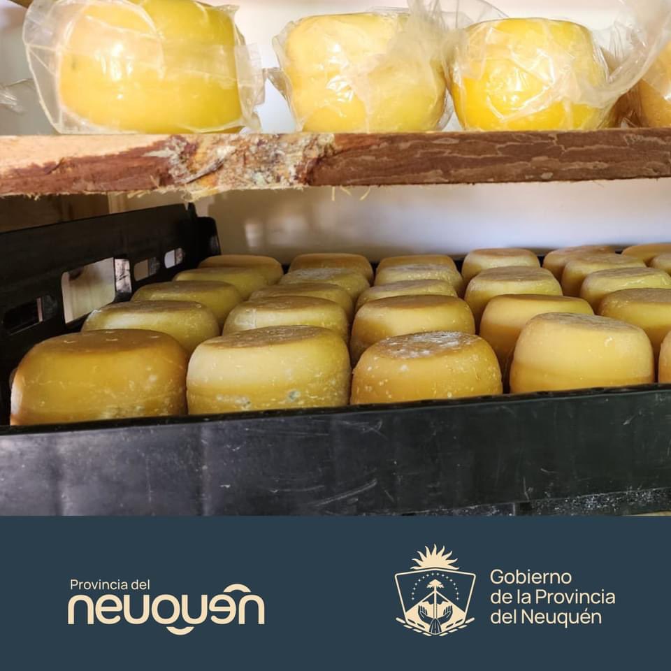 🧀🫙Con la premisa de acompañar al sector privado, visitamos el emprendimiento “Altos del Aluminé”, la producción familiar de quesos y dulce de leche elaborados en la zona de Pulmarí, que genera empleo local y desarrollo para la zona. 🏨Conocé sus productos en la 'Tienda de…