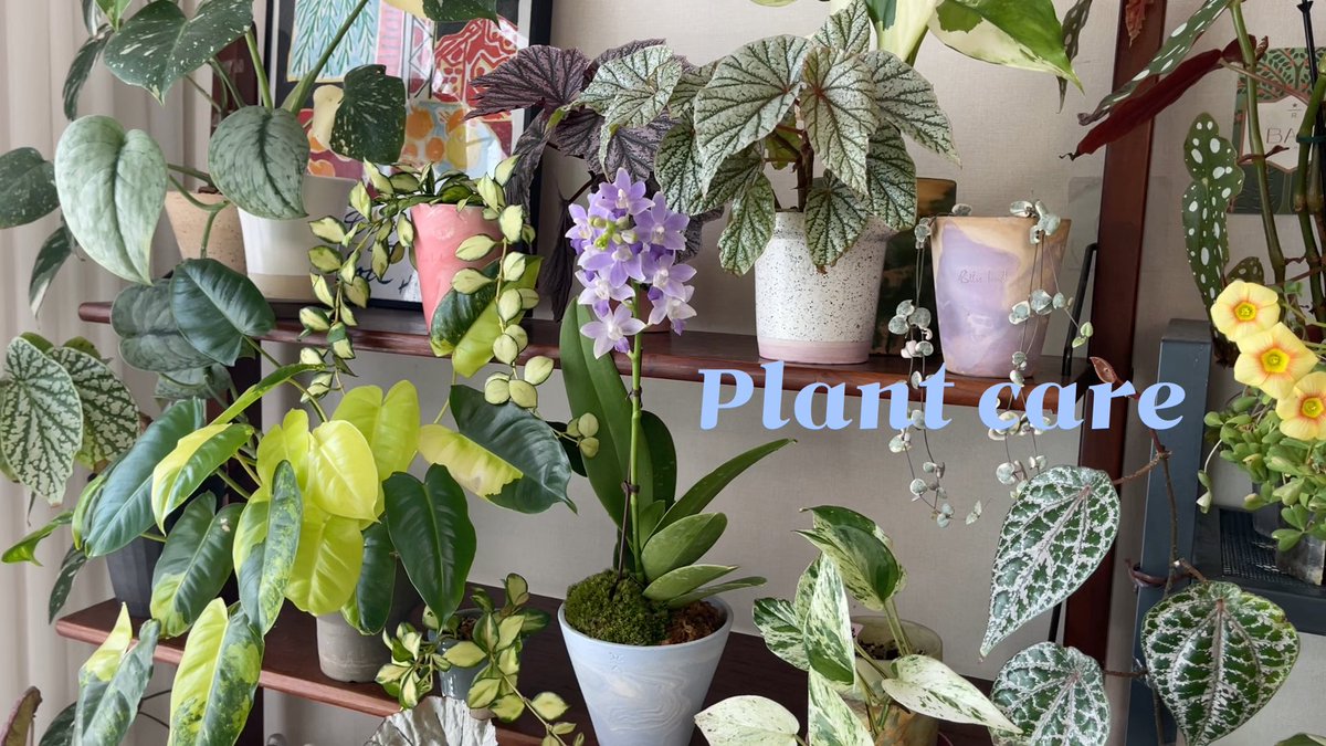 로망은 미니멀이지만 언젠가 하겠지. 어제 옷을 10킬로는 버렸다