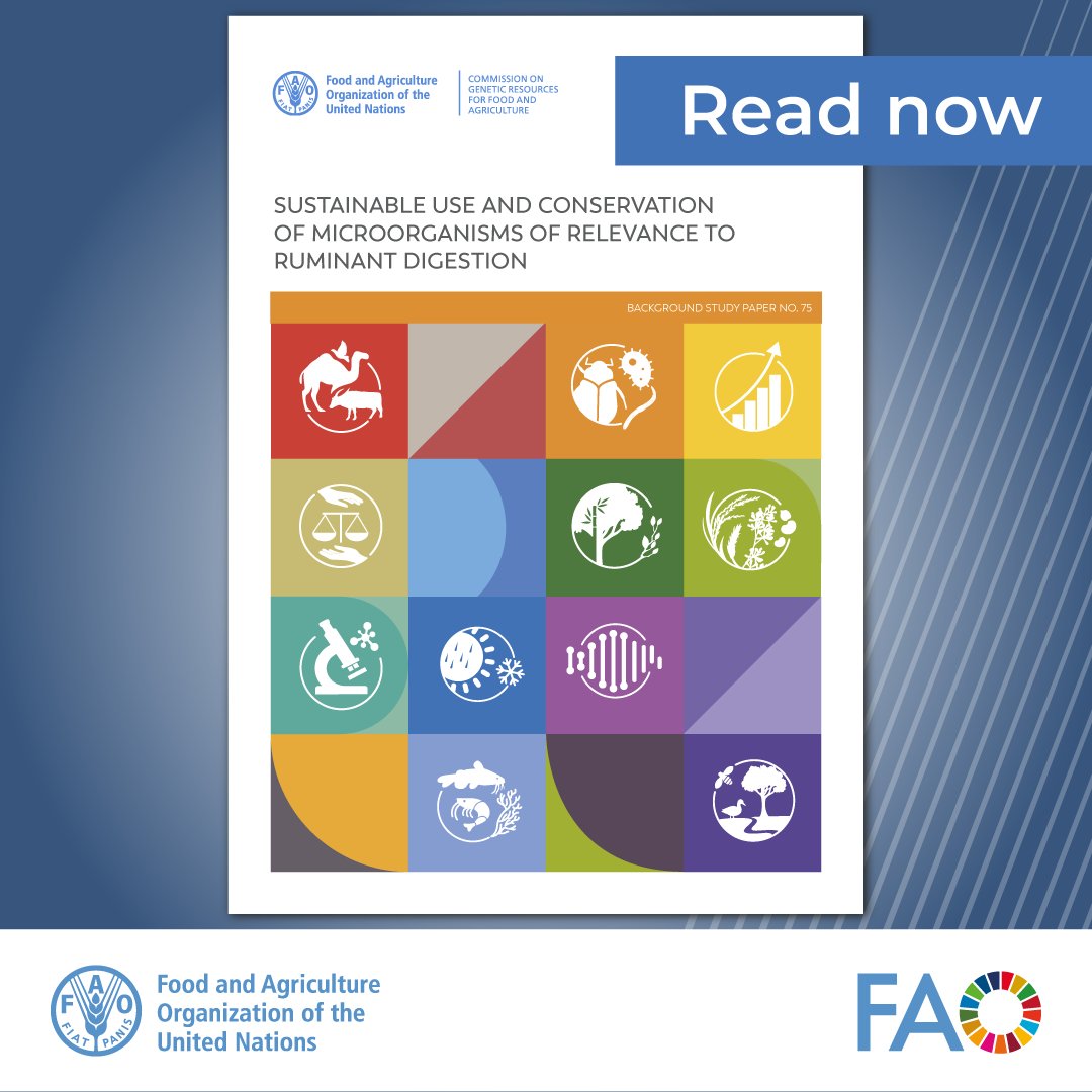FAO Livestock (@faolivestock) on Twitter photo Burping clever: what should we feed ruminants to cut methane emissions? 🐄🐄 via <a href="/FAO/">Food and Agriculture Organization</a>
👉doi.org/10.4060/cd0155…
#justpublished
#climate #cattle #methane Burping clever: what should we feed ruminants to cut methane emissions? 🐄🐄 via <a href="/FAO/">Food and Agriculture Organization</a>
👉doi.org/10.4060/cd0155…
#justpublished
#climate #cattle #methane