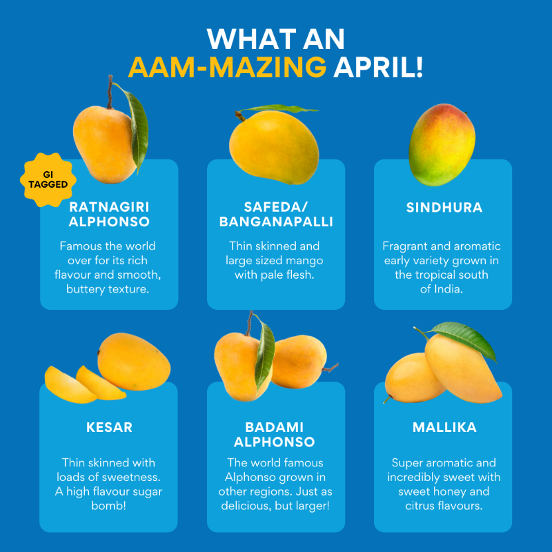 Mark your calendars, mango lovers!  Our April calendar is bursting with 6 sweet & juicy varieties, from the real Ratnagiri Alphonso to the refreshingly tangy Mallika. Which one is your favorite? 

✅ Zero carbides
✅ Certified safe from pesticides
✅ Traceable to the farm