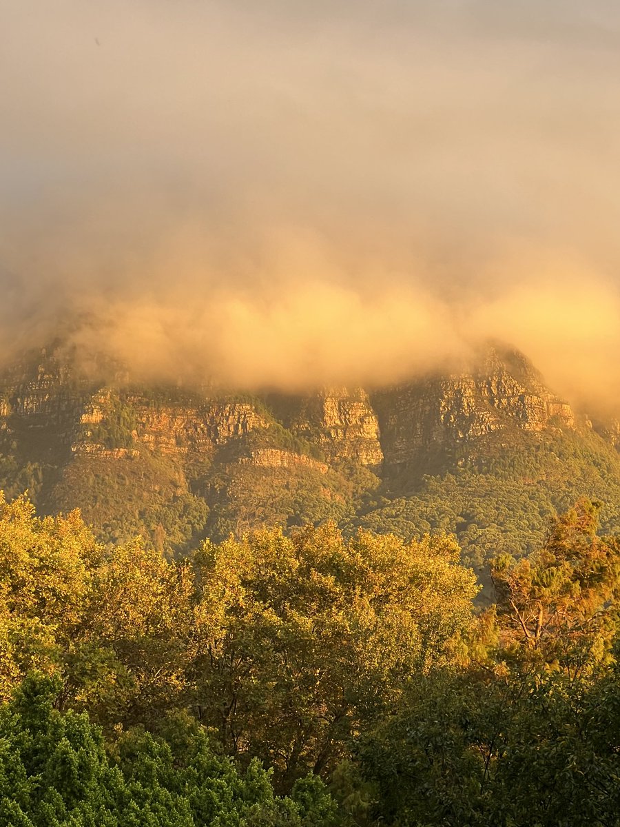 Judy Stevens tweet media