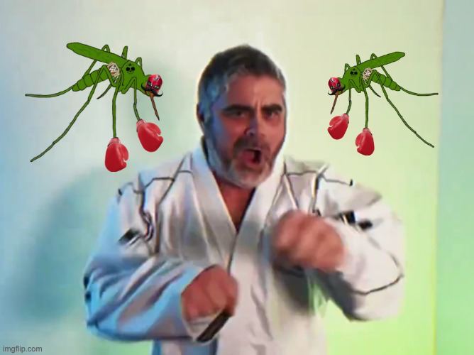 mindofmxrco's tweet photo. @TheMisterFrog frog i'm trying to tell you to stop fading this mosquito bro
we just got our god candle to begin our reversal $JEETO https://t.co/C4AaJsg0Ev