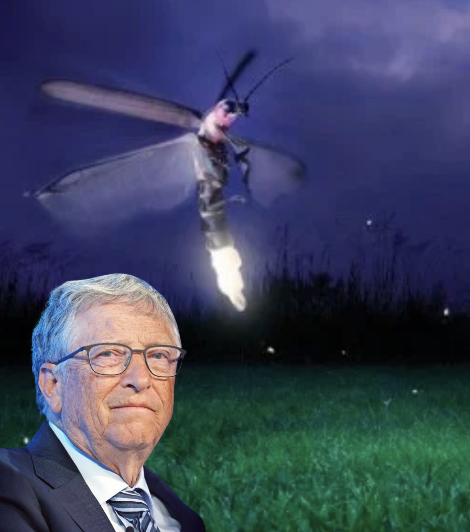 Have you ever wondered what happened to all the fireflies you used to see as a kid? Trust me, you don’t want to know!