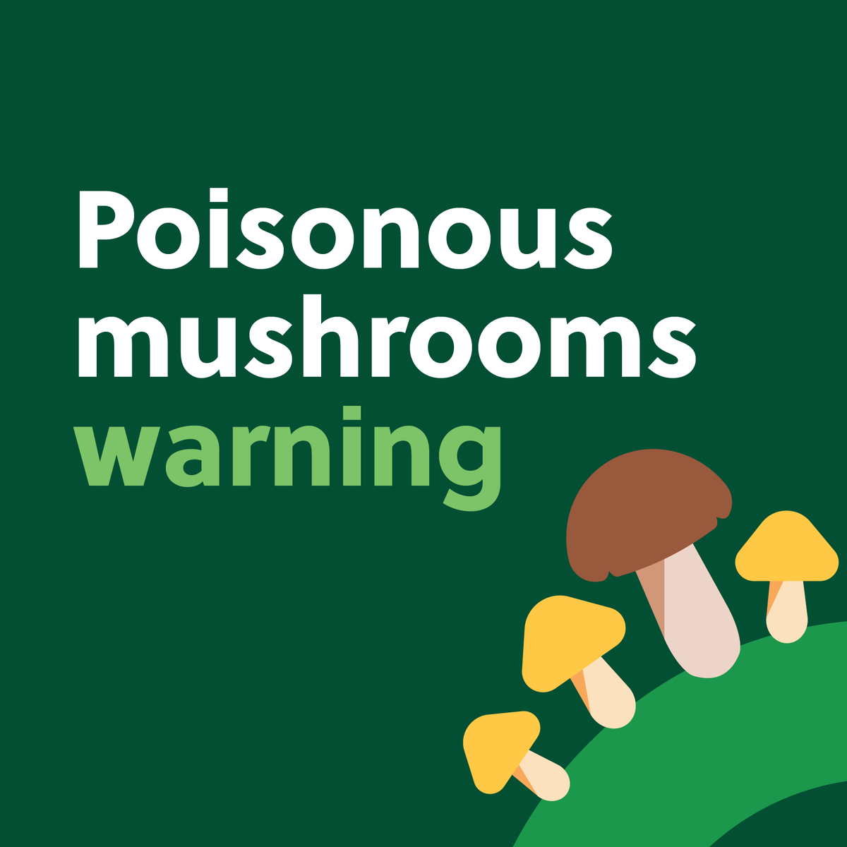 As the weather becomes colder and wetter during autumn, poisonous mushrooms such as death cap and yellow-staining mushrooms can be found in certain parts of Victoria. Know how to avoid mushroom poisoning, who's at risk and what to do if you consume them: health.vic.gov.au/health-advisor…