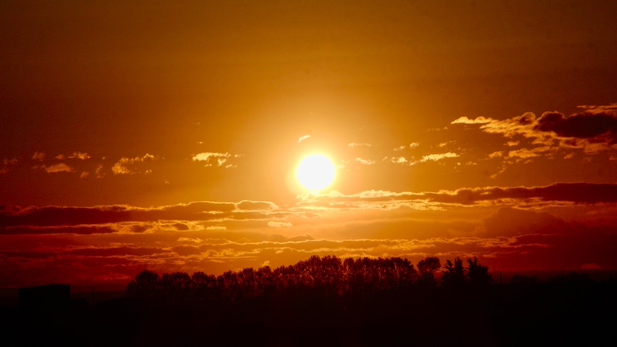 Bon dia! Així veiem sortir el sol, avui, amb 8ºC #ivarsdurgell #pladurgell @MeteoMauri @TomasMolinaB @meteocat @meteorac1 @SoniaPapell @eltempsTV3 @elnacionalcat @AEMET_Cat @SergiLoras @ARAmeteo