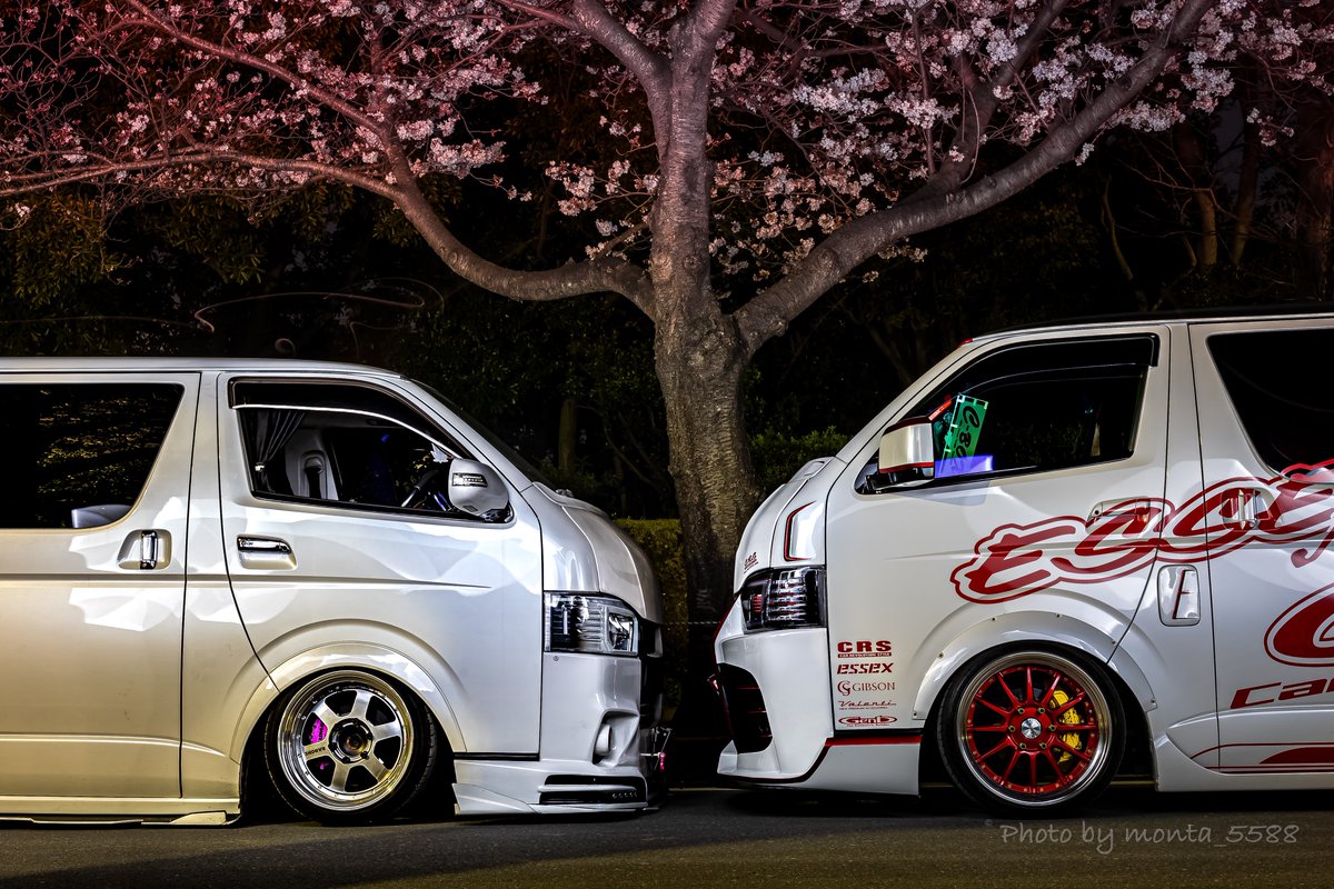 monta55_88's tweet photo. #桜 ギリギリ間に合ったー https://t.co/CV2hFru3Vz